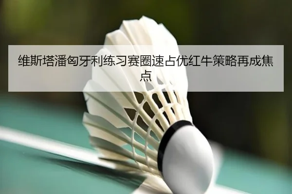 维斯塔潘匈牙利练习赛圈速占优红牛策略再成焦点